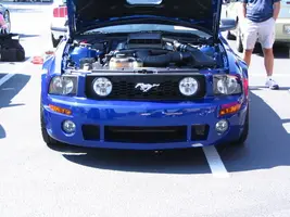 Picture017.webp