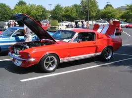 Picture008.webp
