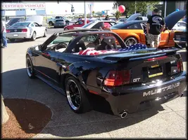 100_6006.webp
