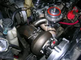 DSCN0815.webp