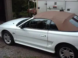 mustang008.webp
