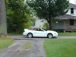 mustang015.webp