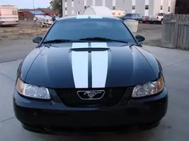 DSC00683Medium.webp