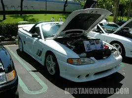 DSCN1141_JPG.webp