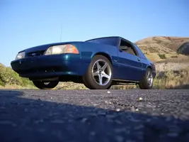 IMGP0005.webp