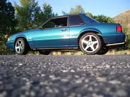 IMGP0003.webp