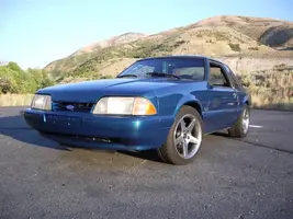 IMGP0001.webp