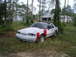 5061088127664.webp