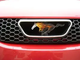 pony_emblem_002.webp