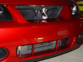 0425-3DgrilleEmblem-600.webp