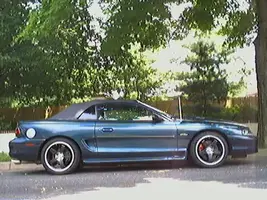 Picture5_edited.webp