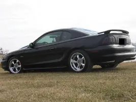 stang003.webp