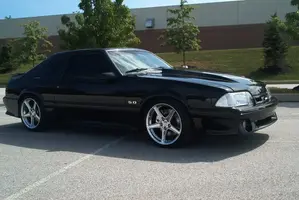 Stang1.webp