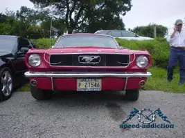 DSC00427_jpg.webp