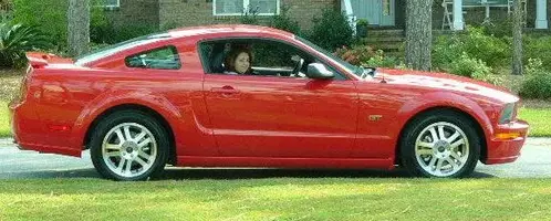 mustang new size.webp