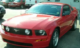 Mustang pic 2 small.webp