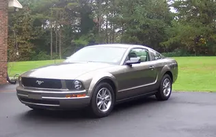 stang 005e.webp
