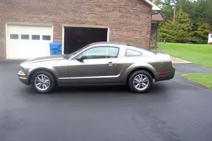 stang 003e.webp