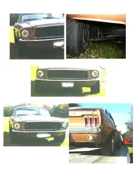 pics for community2.webp