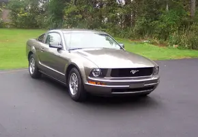 stang 006e.webp
