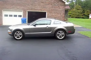 stang8.webp