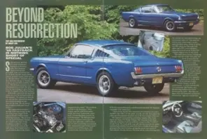 Mustang small.webp