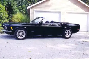 stang6.webp