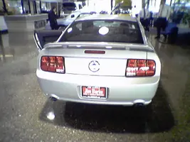 Picture010.webp
