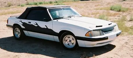 stang.webp