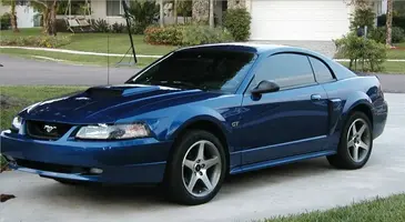 stang04.webp
