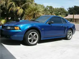 wingless w bullits front.webp