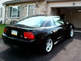 rear.webp