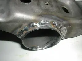 DSCN4646.webp