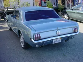 stang2.webp