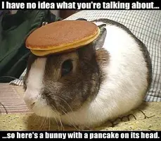 bunnypancake.webp