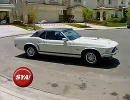 69-stang-gt-white-vert-8.jpg.webp