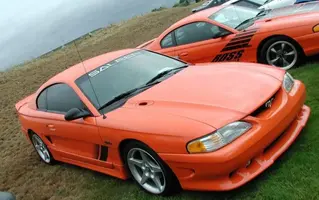 saleen.webp