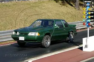 SDuck_110704_0485[1].webp