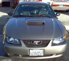 Stang_front.webp