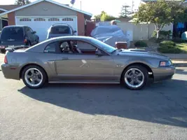 Stang_side.webp