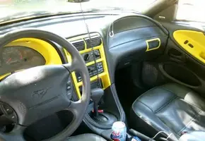 carint2.webp