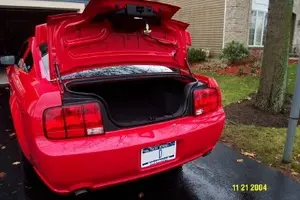 1Web rear.webp