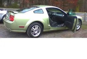 mustang.webp