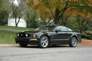 Black Beauty.webp