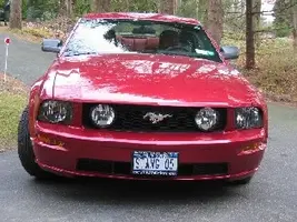 stang 05.webp