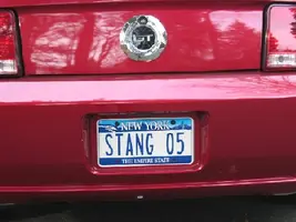 stang05 - rear.webp