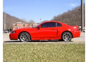 Sweet Side View 2.webp