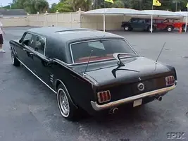 mustang66.webp