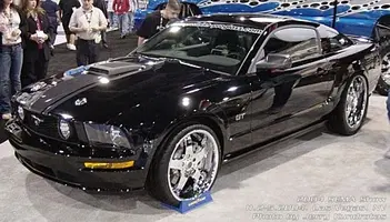 GT STANG IDEAS.webp