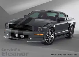 10420cervini_s_05_eleanor-med.webp
